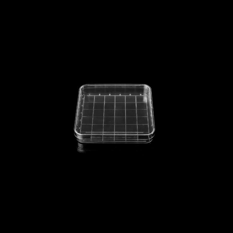 100 *100mmPS, square cell culture dishes without TC, were sterilized in bags and transparent